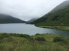 IMG_4414.jpg