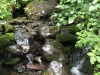 IMG_4471.jpg