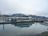 IMG_4529.jpg