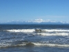 IMG_4705.jpg