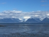 IMG_4742.jpg