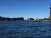 IMG_4965.jpg